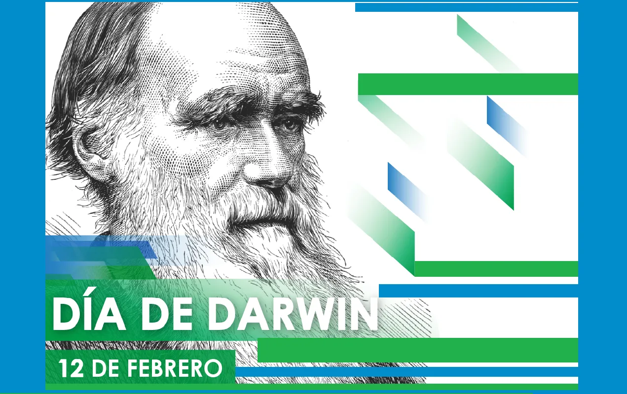 DARWIN