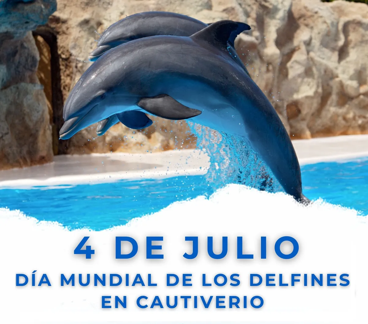 DEEELFIIINEEEEEEEES