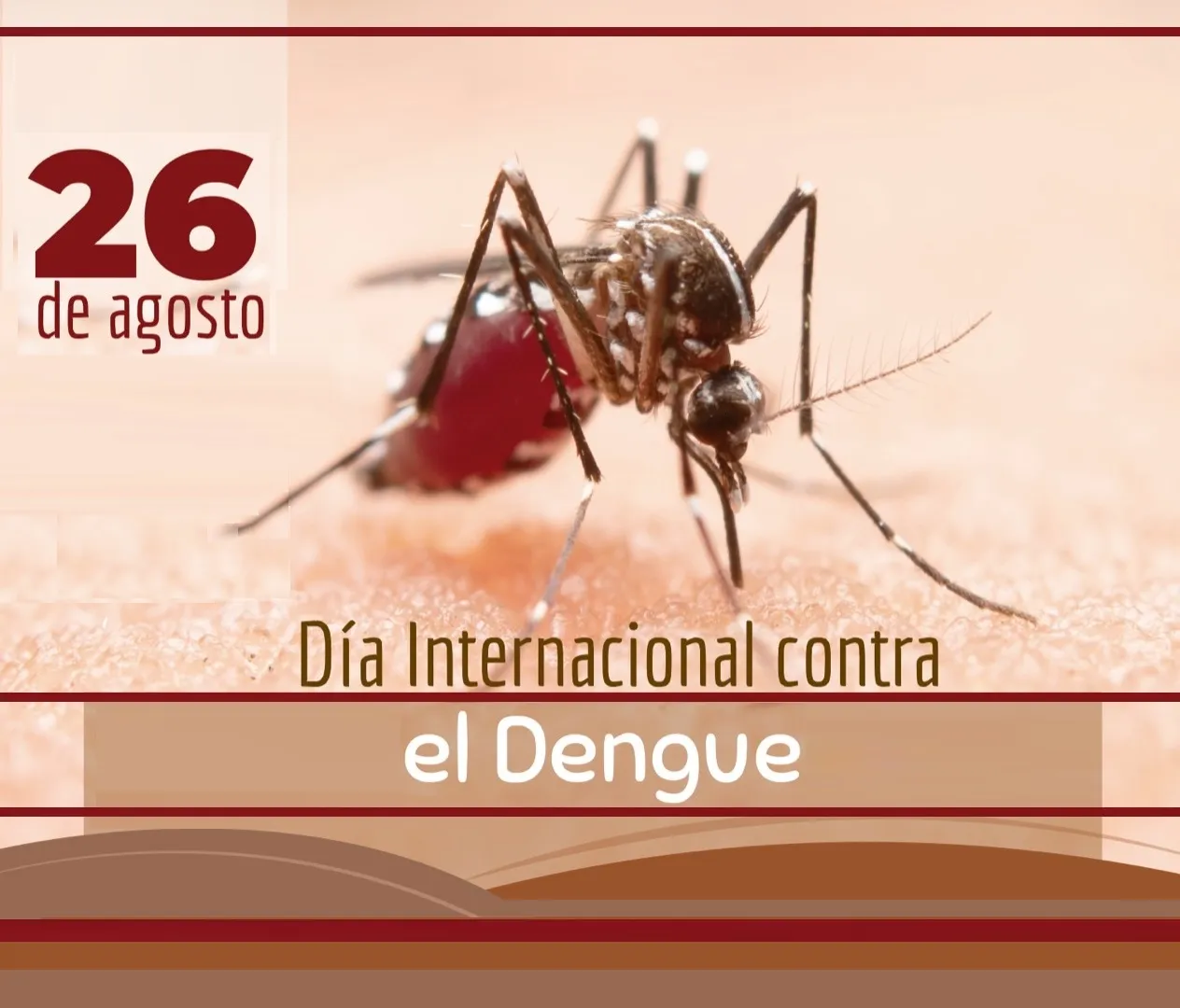 Día Internacional de Lucha contra el Dengue