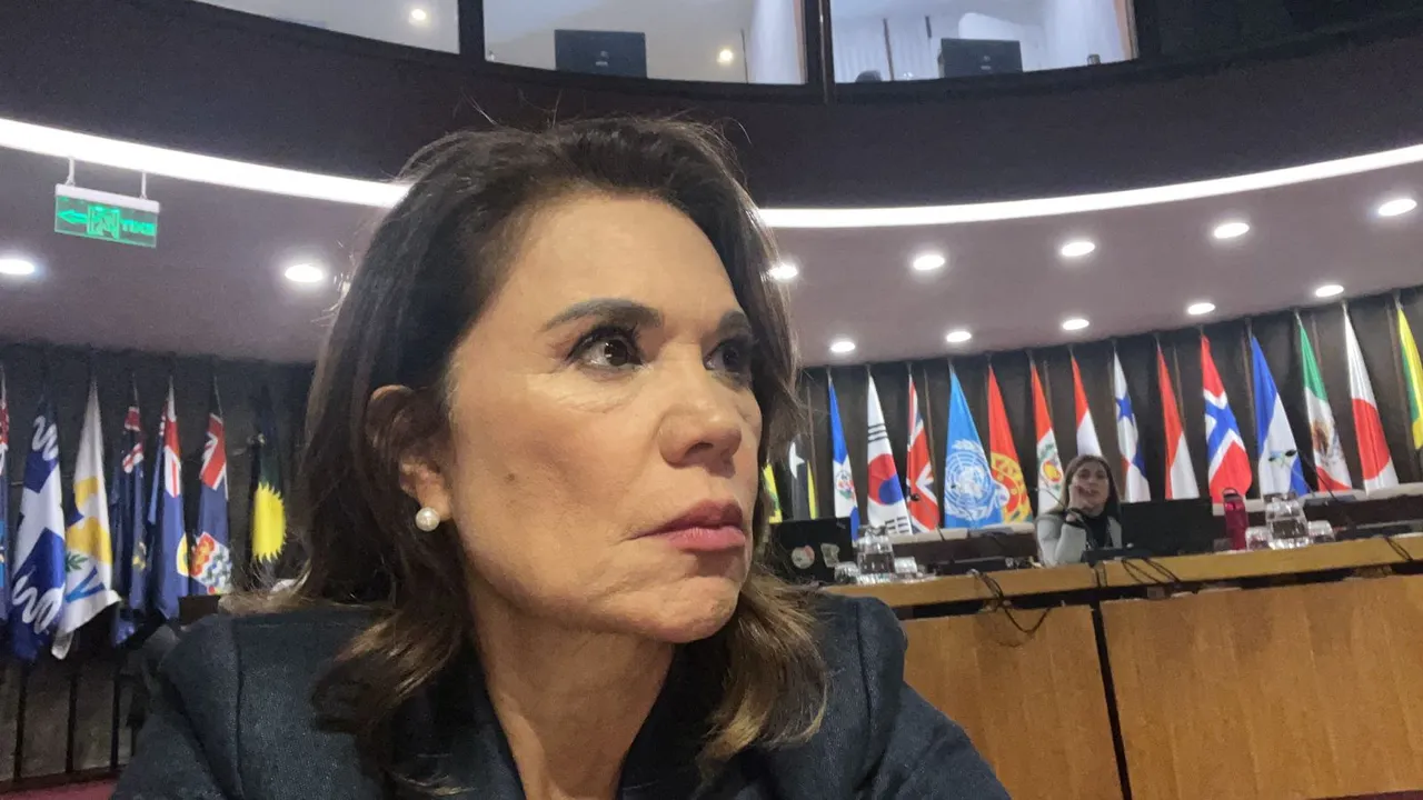DIPUTADA
