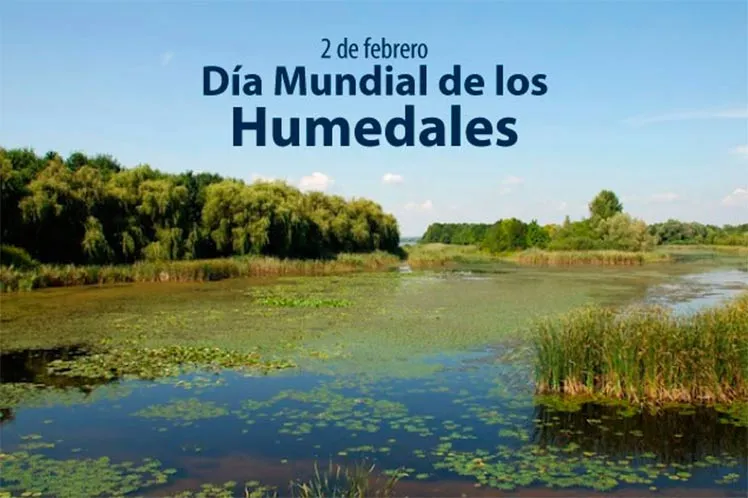 Dia-Humedales