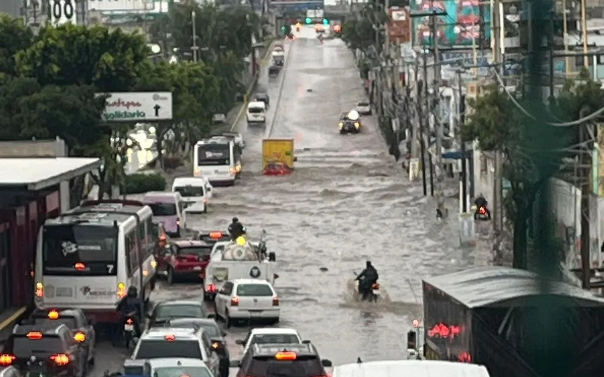 EDOMEX