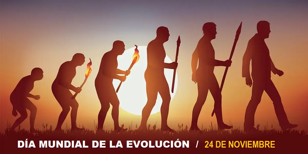 EVOLUCIÓNNNN