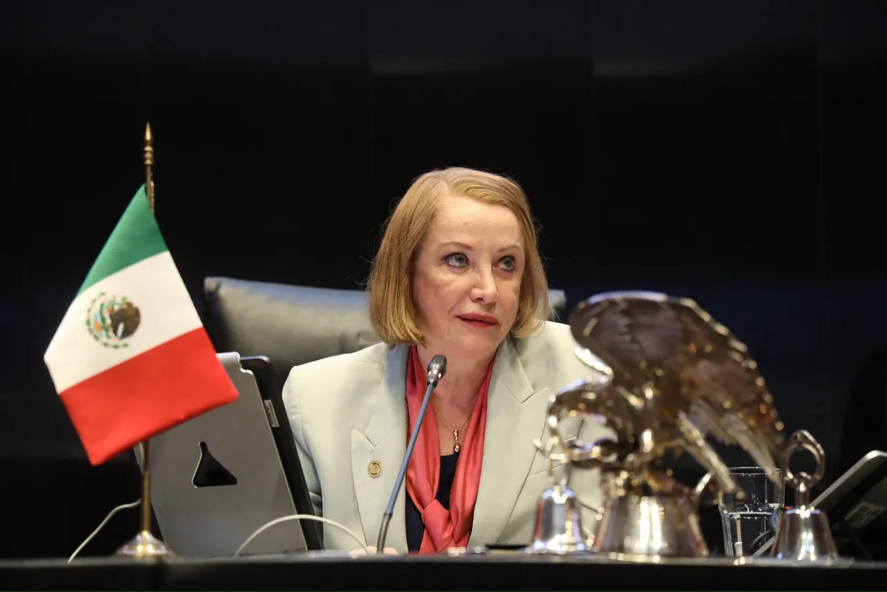 La Presidenta del senado Laura Itzel Castillo dice que poder legislativo esta listo para ajustar leyes a fin de evitar nuevos Accidente como el de la pipa de gas en el puente de la concordia.
