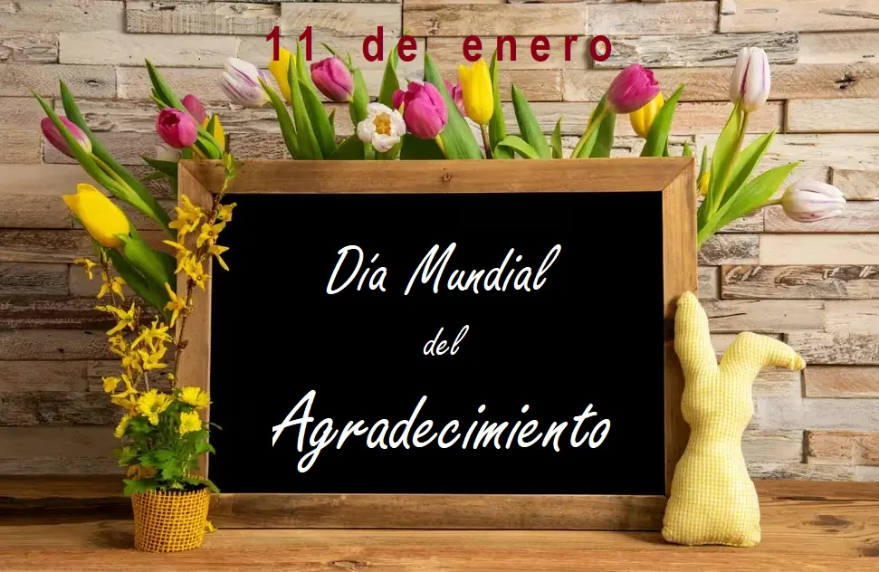 GRACIASSSSSSSS