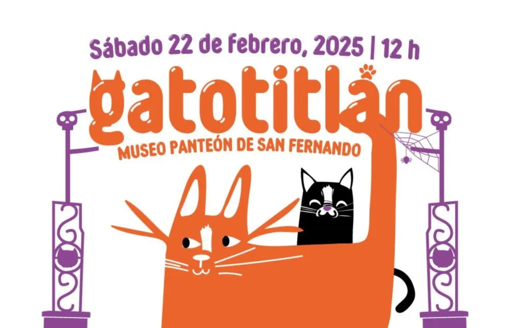 Gato