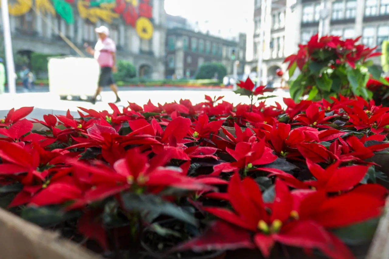 GranVentaNochebuena