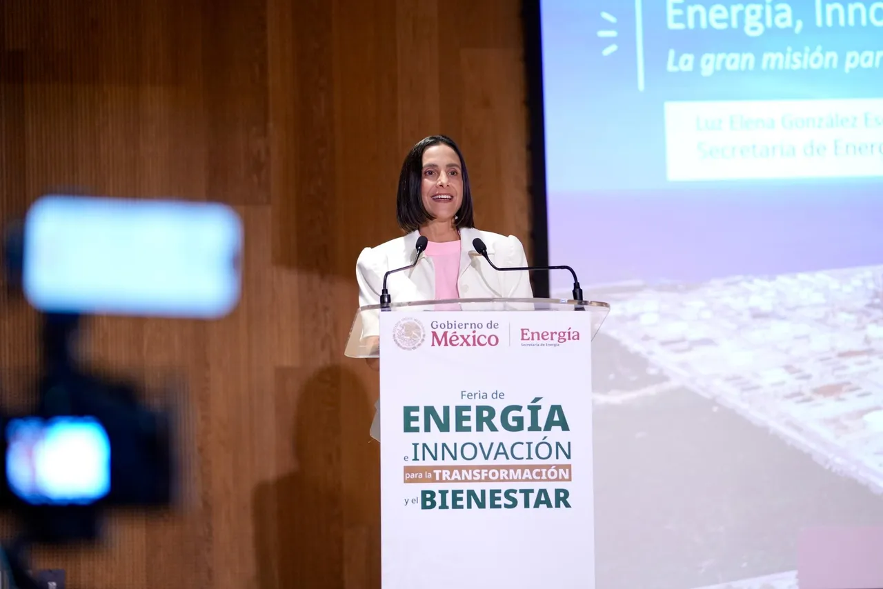 Sin incrementar la producción de petróleo se debe generar la energía para el país: Luz Elena González