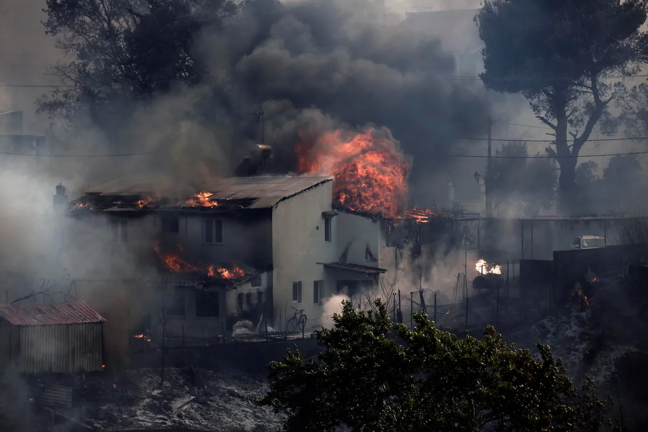 A wildfire burns homes and forest in the residential area of Kryoneri, near Athens