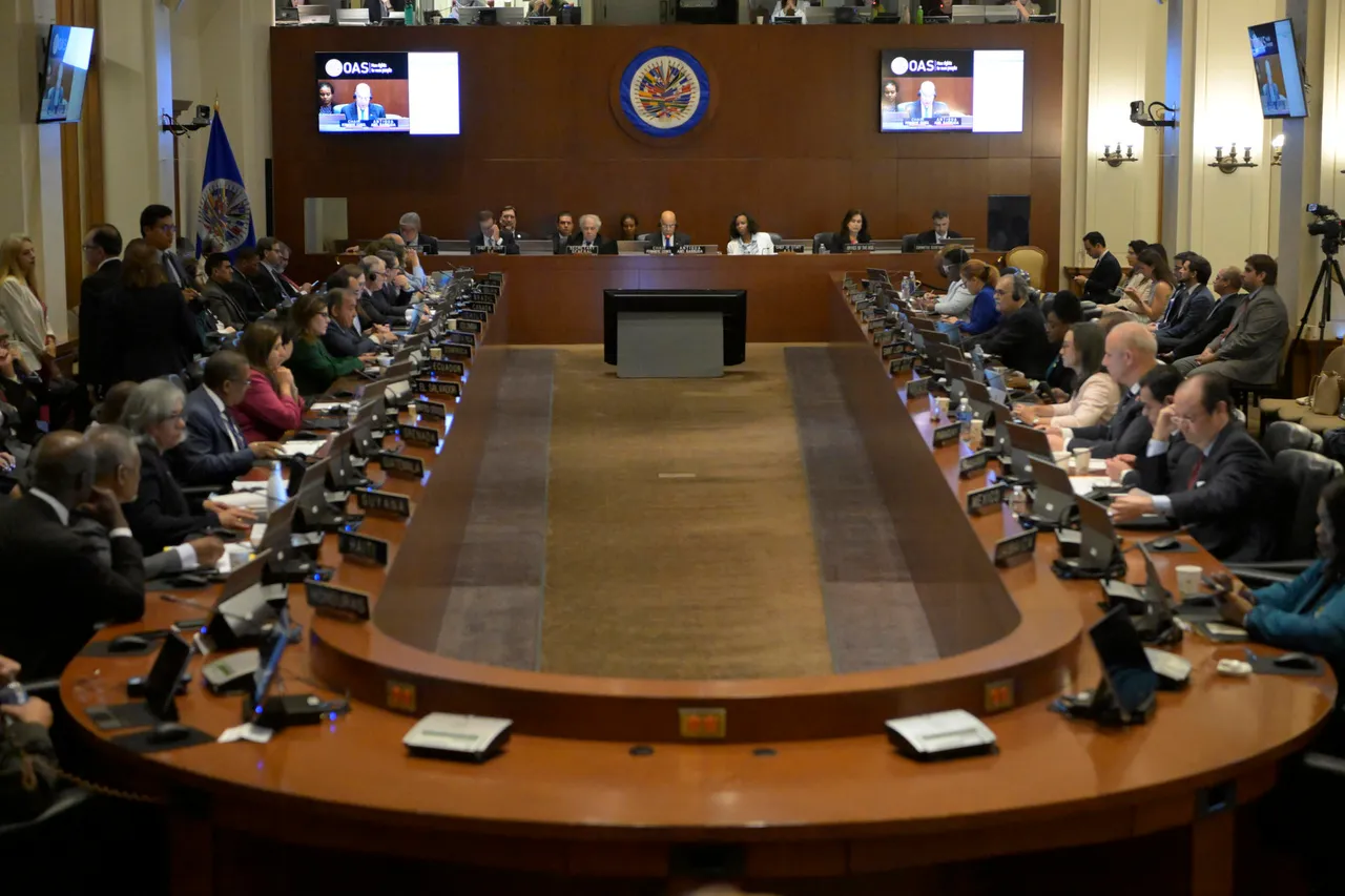 Fracasa en Consejo de OEA una resolución que exigía a Venezuela revelar actas de votación