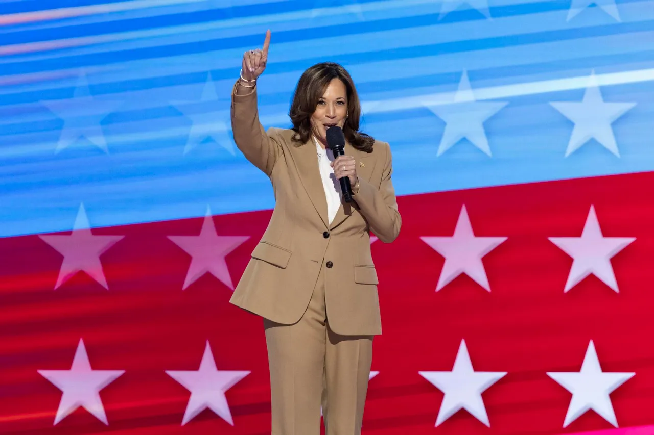 Democratic National Convention in Chicago, Illinois