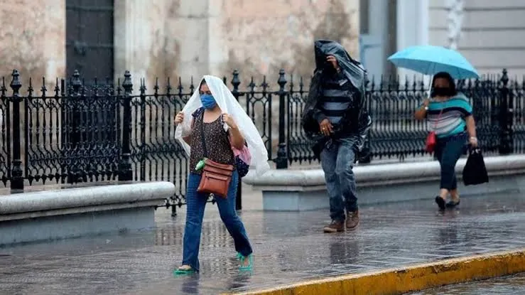 IMG_2538