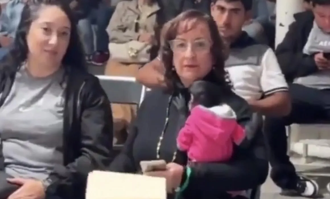 Renuncia Regidora tras escándalo con mono araña: "Fue un error, no lo justifico"