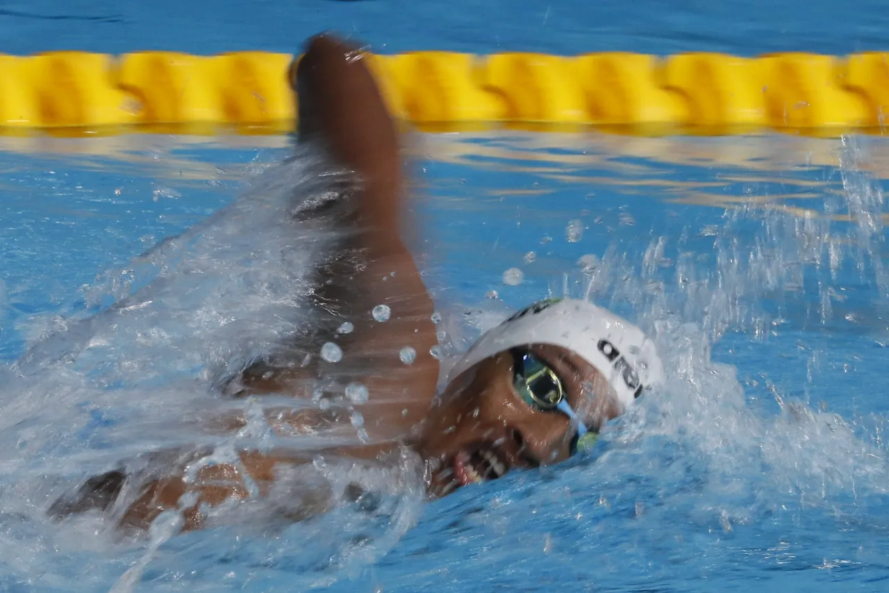 Juegos Panamericanos 2023: Natación