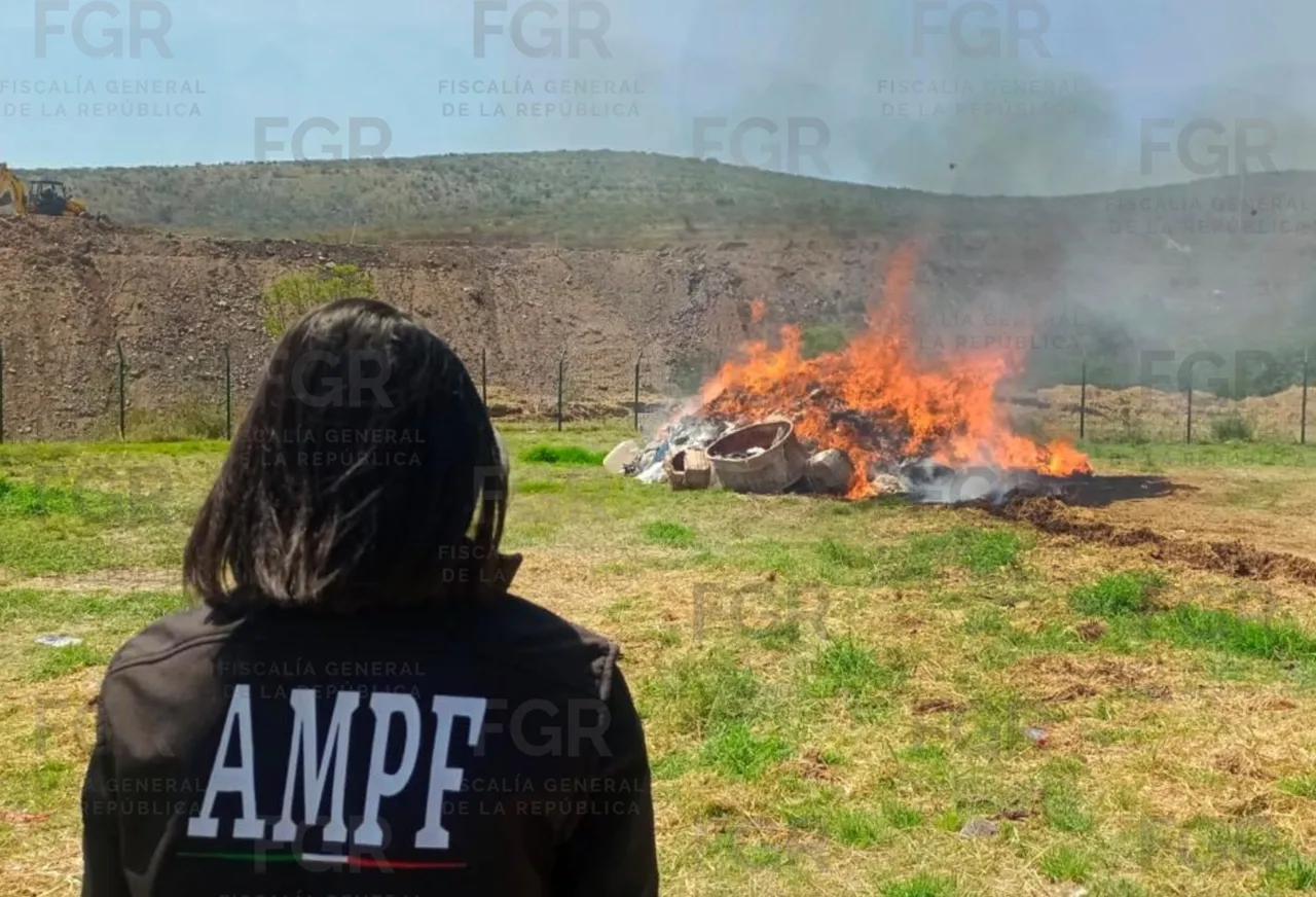 Autoridades federales destruyeron toneladas de droga en operativo