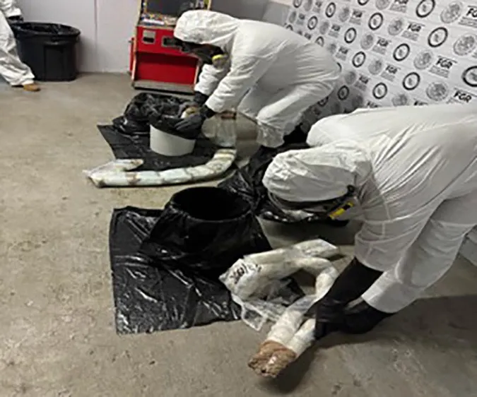 IMG_6247