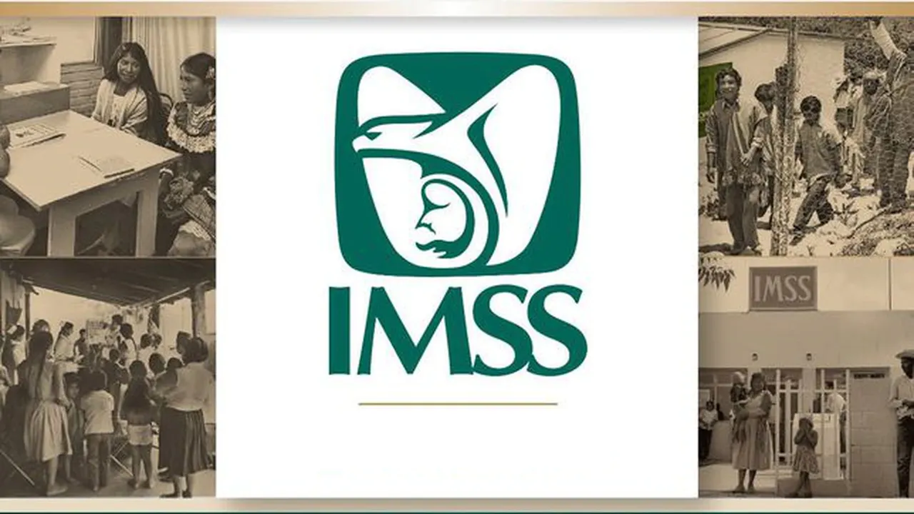 IMSS IMSS