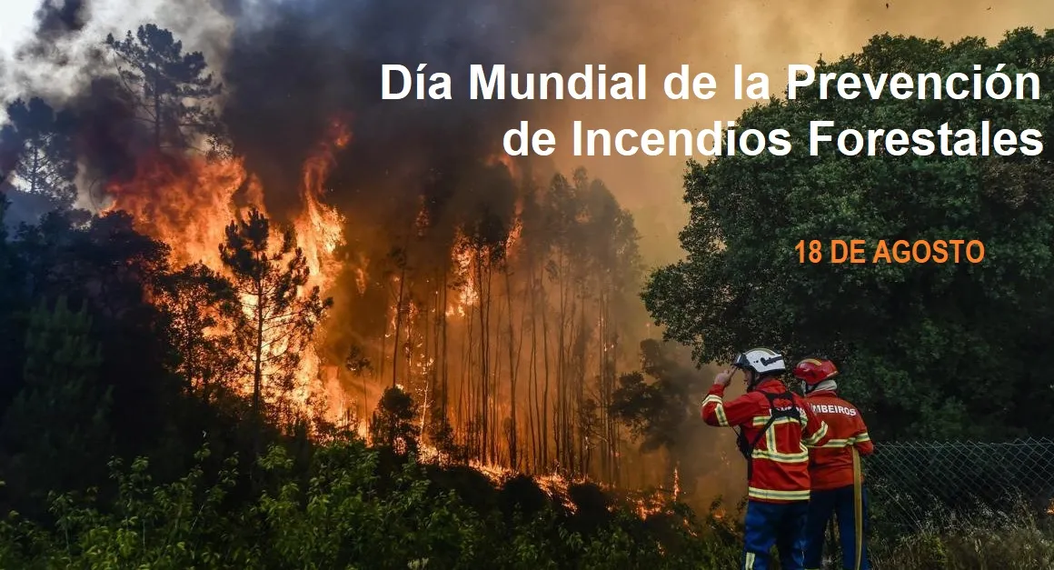 INCENDIOS