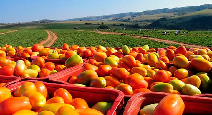 Conflicto en el Golfo Pérsico amenaza con disparar los precios de los alimentos.