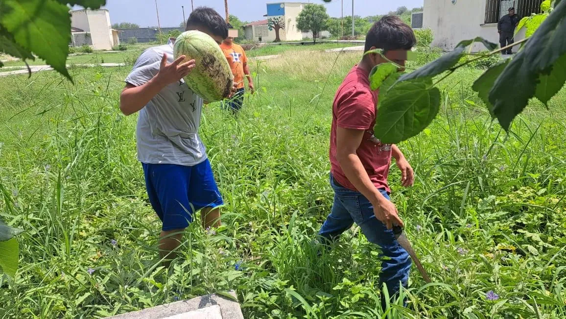 Jovenes coinsechan sandias (1)