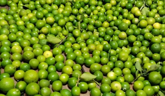 LIMON