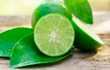 limon  GJG