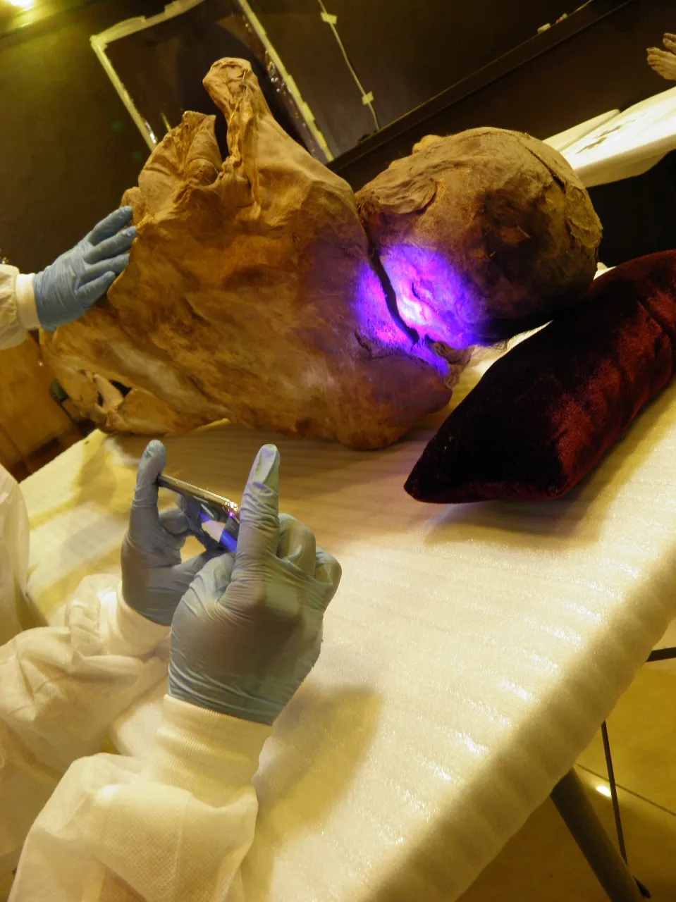Los resultados de estos análisis permitirán emitir recomendaciones sobre el manejo óptimo de los cuerpos momificados. Foto cortesía Julieta Cabriada
