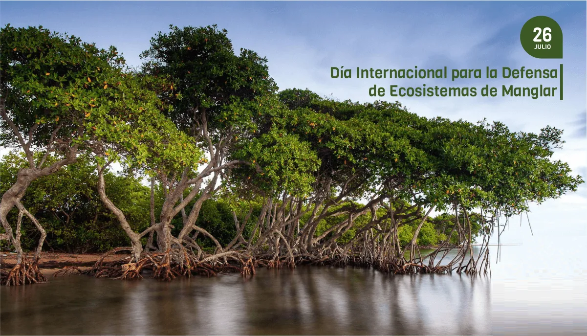 MANGLAR