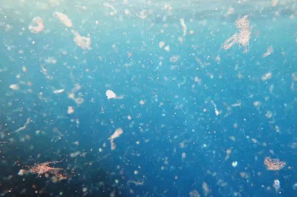 MICROPLASTICOS