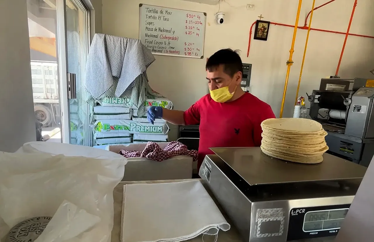 tortilla