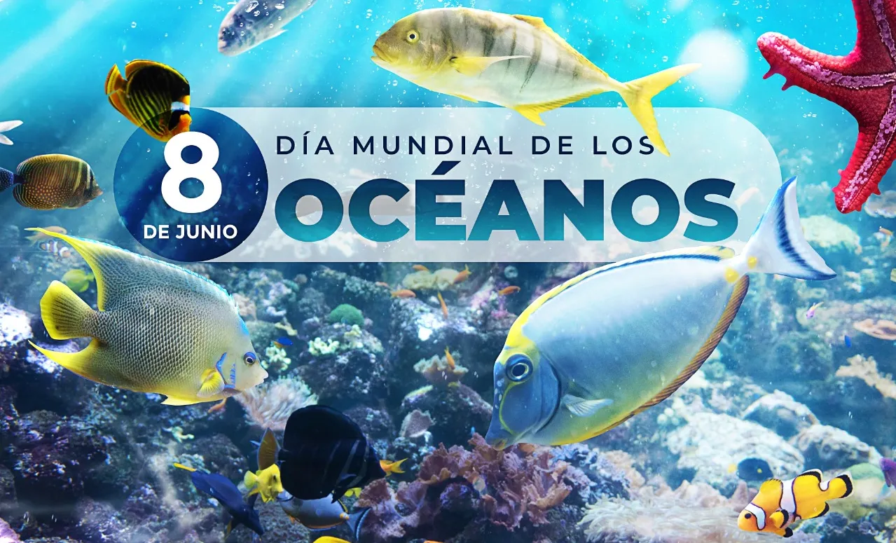 OCEANOOOOOOO