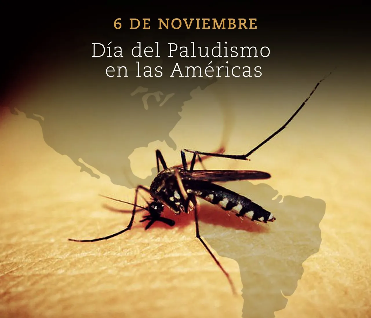 PALUDISMOOOOOO