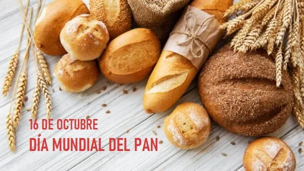 PANNNN
