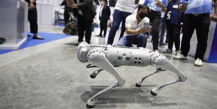 PERRO-ROBOT-
