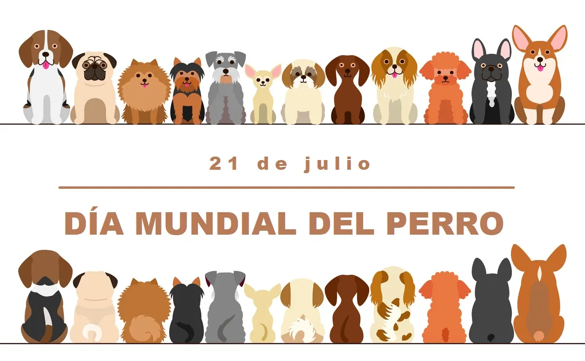 PERROOOOO