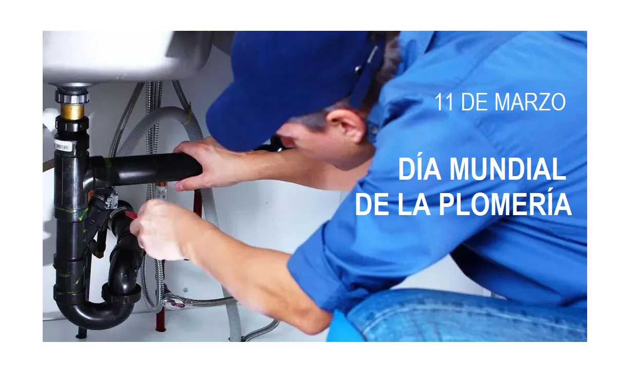 PLOMEROOOOOOO