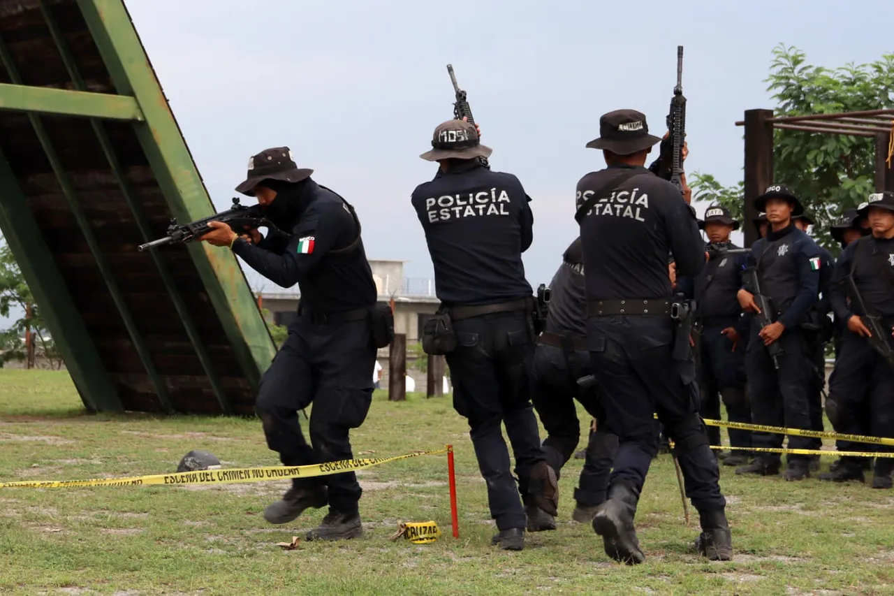 Policias, seguridad publica (2)