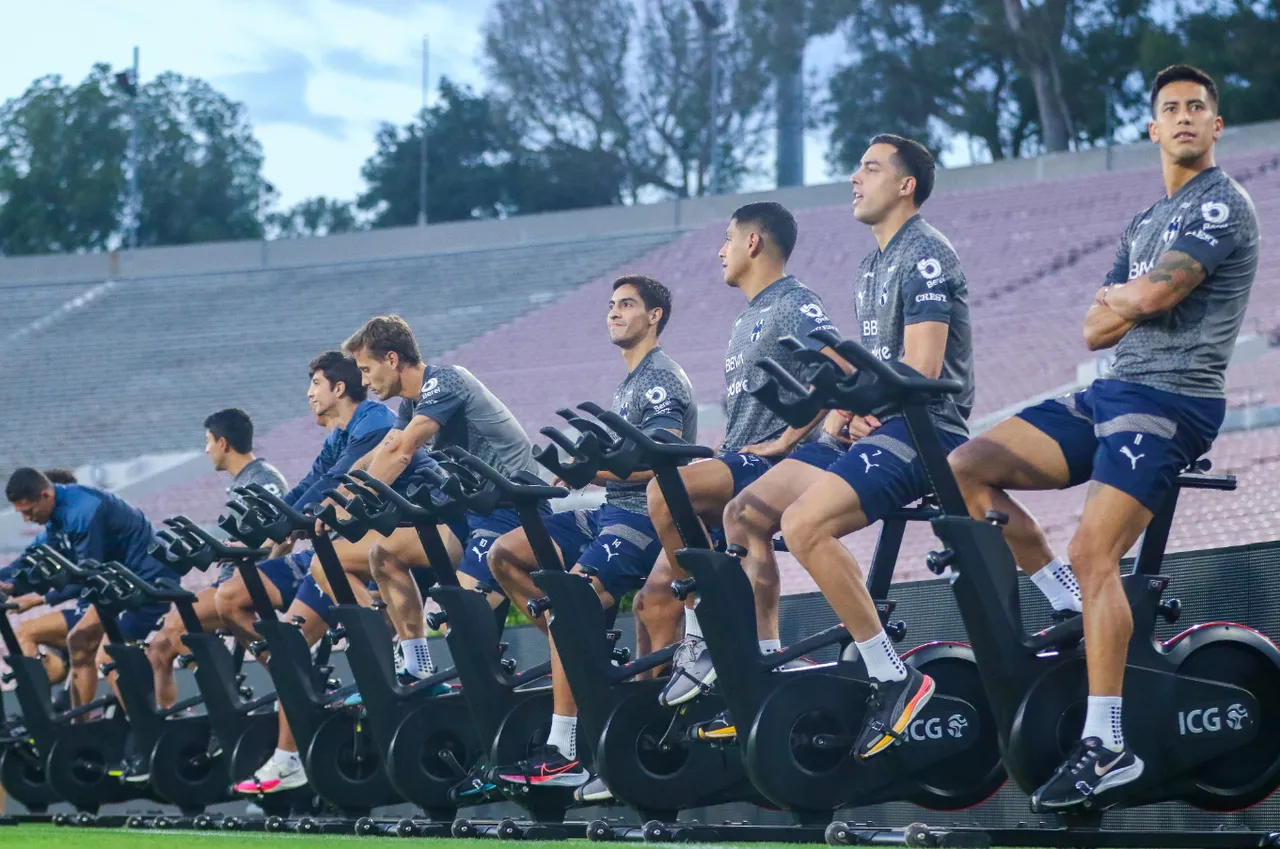 Rayados