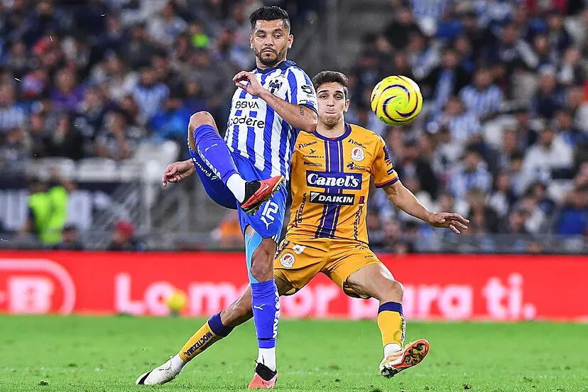 Rayados3