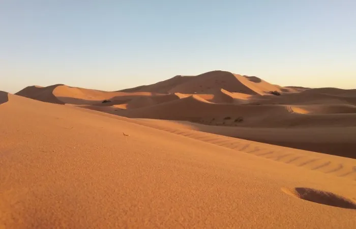 SAHARA