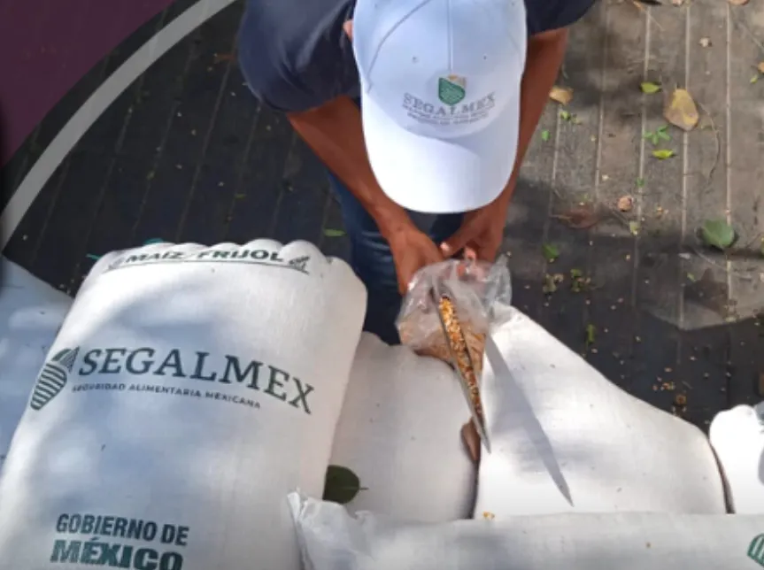 SEGALMEXXX