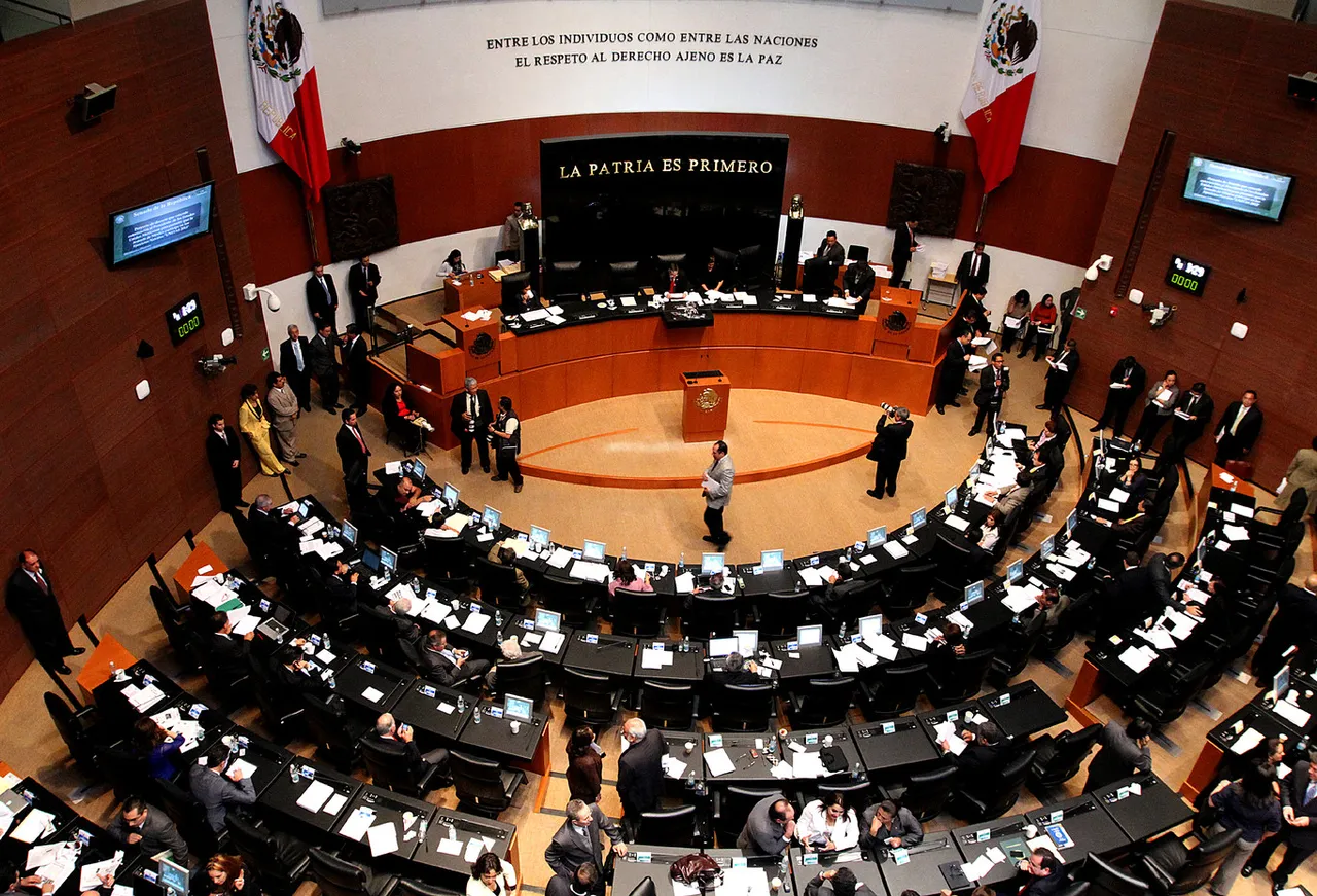 SENADO8