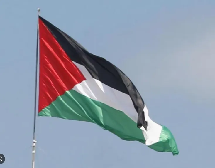 Asamblea General de la ONU aprueba participación virtual de Palestina