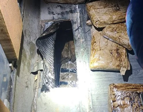 Arrestan en México a hombres que trasladaban 50 kilos de heroína y fentanilo en autobús