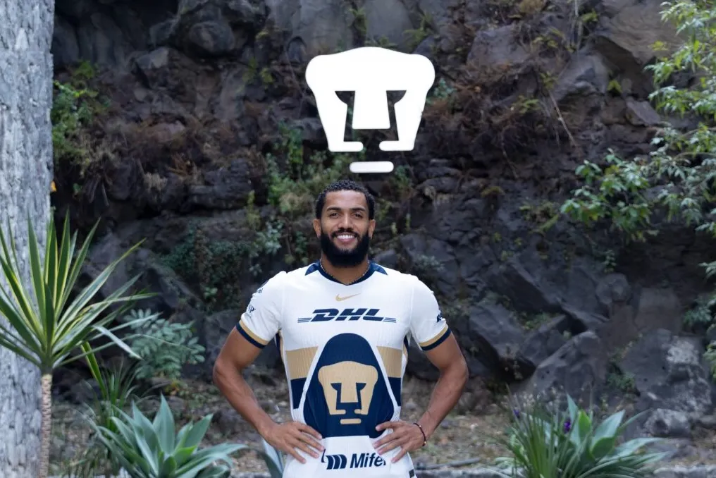 pumas