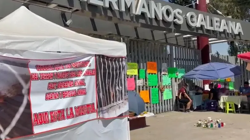 Mantienen plantón por 187 perros retenidos en el Deportivo Hermanos Galeana