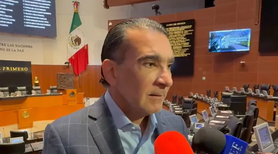 “No somos una extensión de Morena”: El Partido Verde anuncia que irá solo en 2027