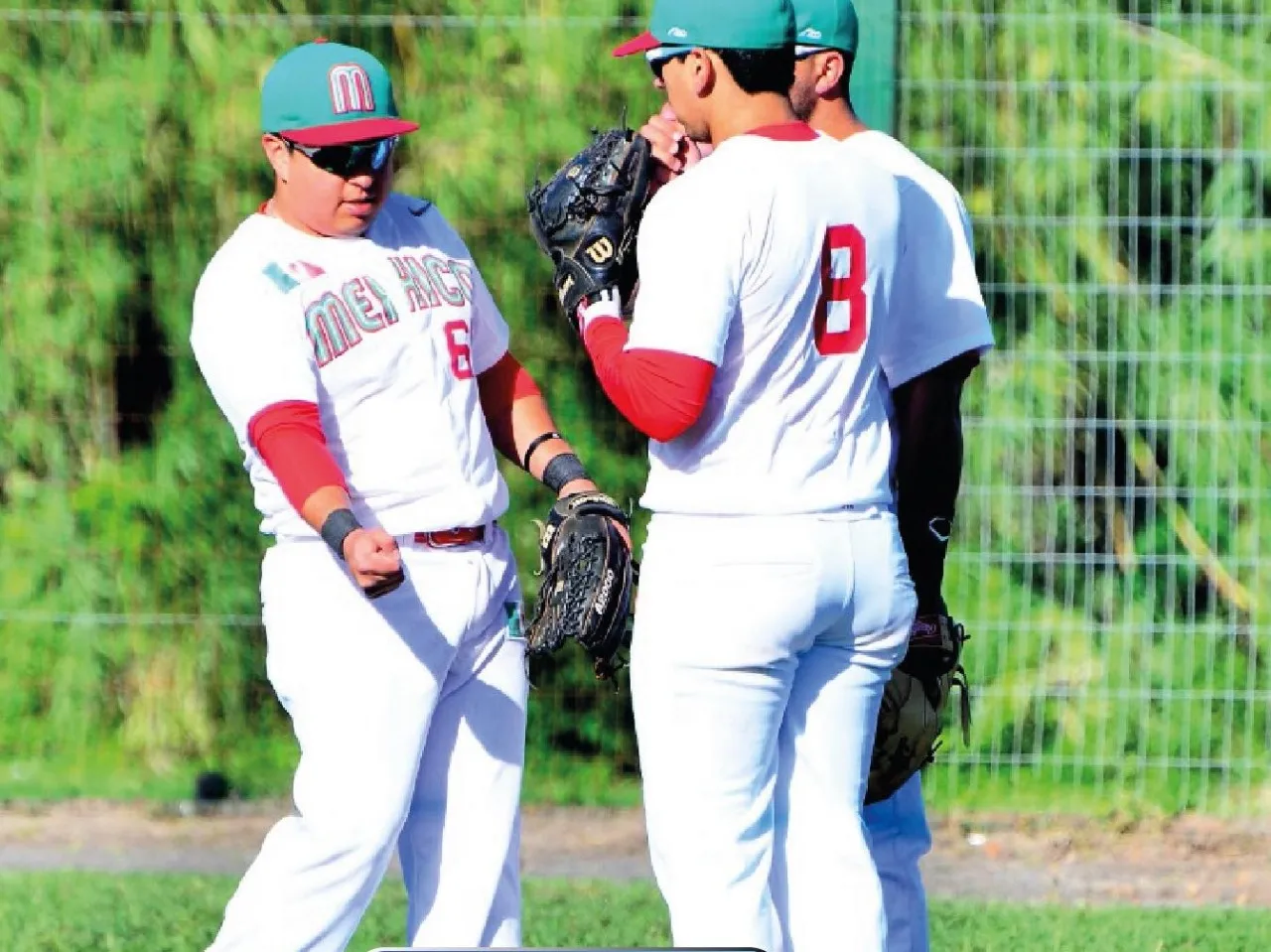 Selección mexicana de beisbol sub-12 (2)