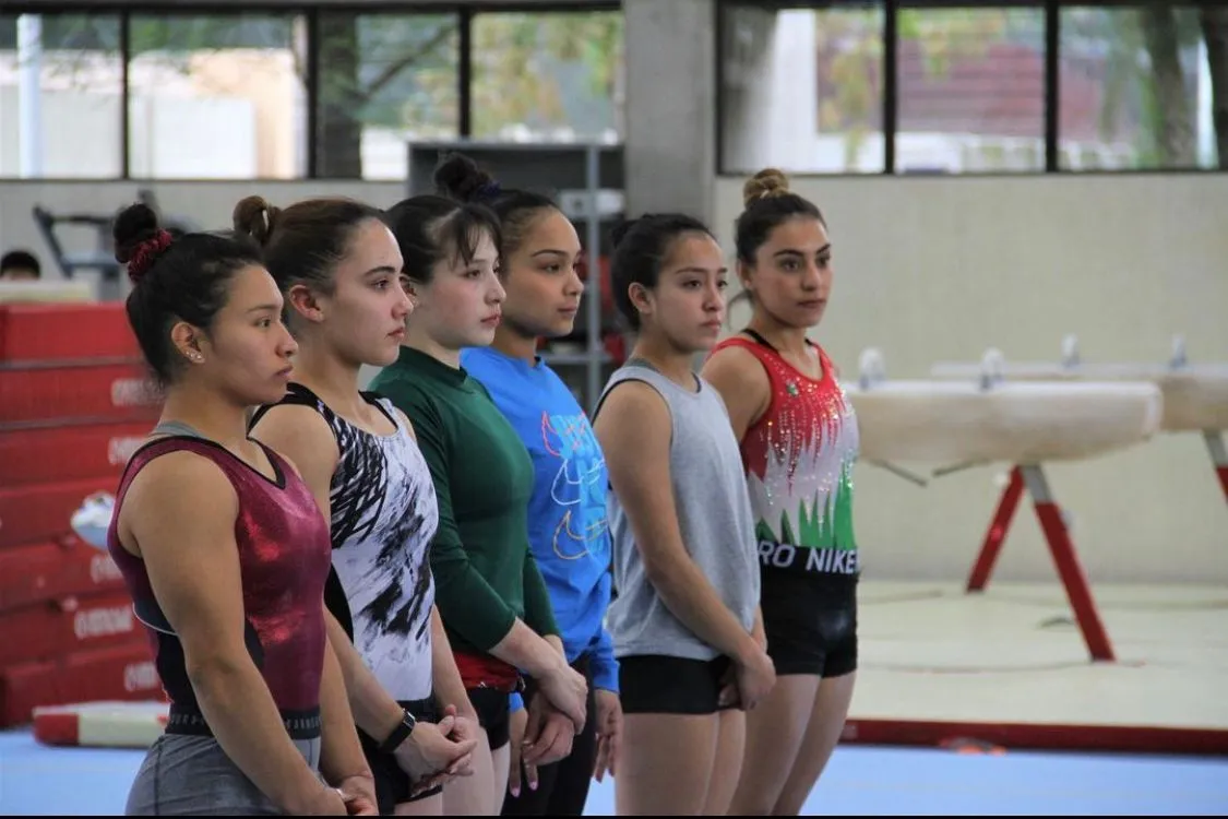 Selección nacional de gimnasia artística