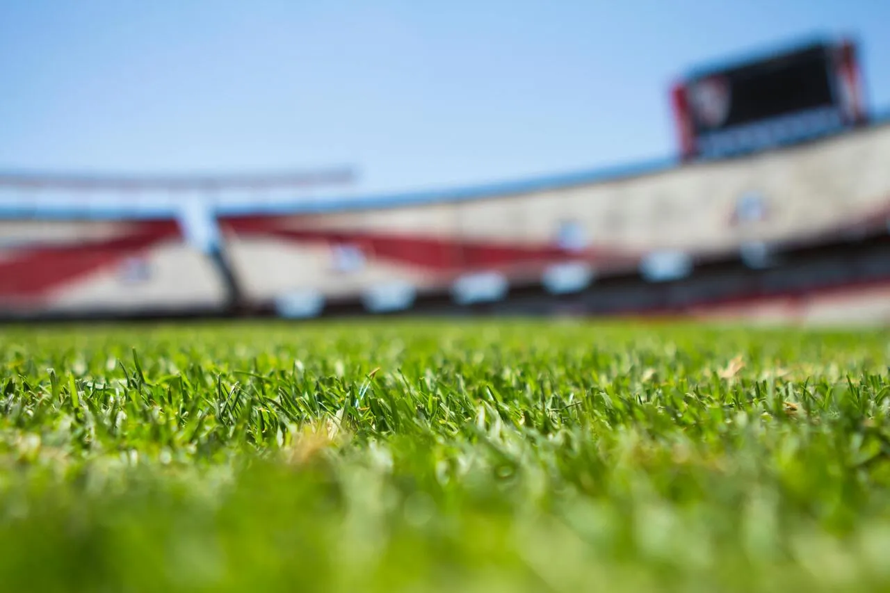 Source_-_httpswww.pexels.comphotogreen-grass-across-beige-red-open-sports-stadium-during-daytime-61143